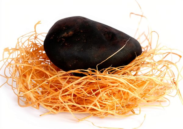 Rock Buddy Decorative Aquarium Rock by Maxwell Rock Farms 2.5x4x5.25in-2