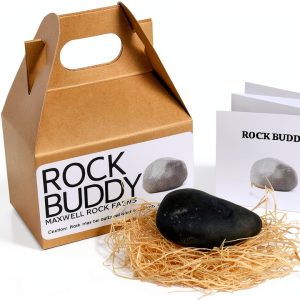 Rock Buddy Decorative Aquarium Rock by Maxwell Rock Farms 2.5x4x5.25in-0
