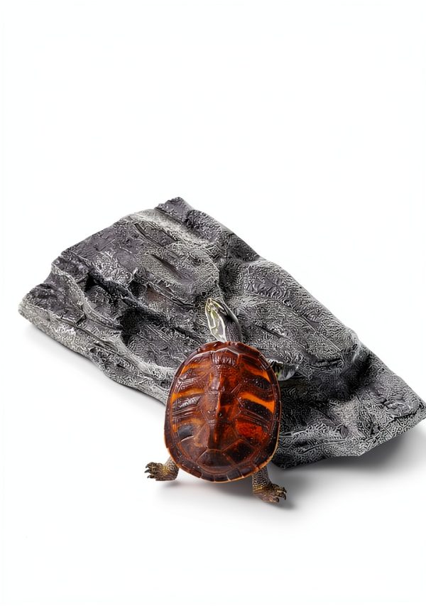 Turtle Basking Platform YZHZOM Resin Floating Terrace Gray 3x2x3-0